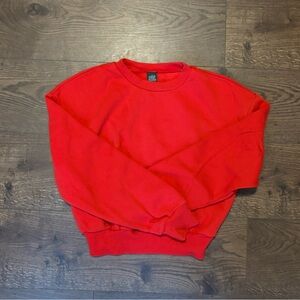 Wild Fable Vibrant Red Crewneck Sweater
